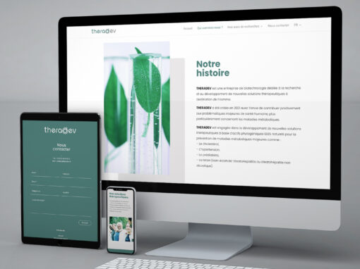 THERADEV<br>Developpement web