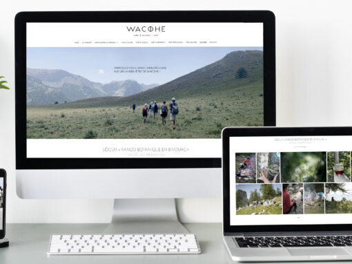WACOHE<br>Developpement web